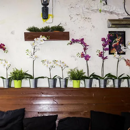 ホステル Skansen